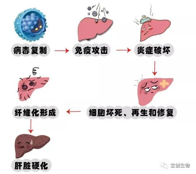 640 (7)_看图王.web.jpg