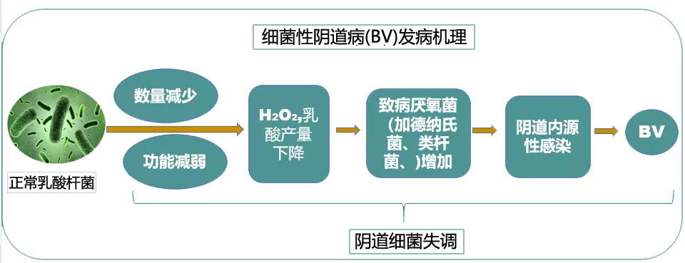 640 (13)_看图王.web.jpg