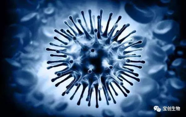 640 (9)_看图王.web.jpg