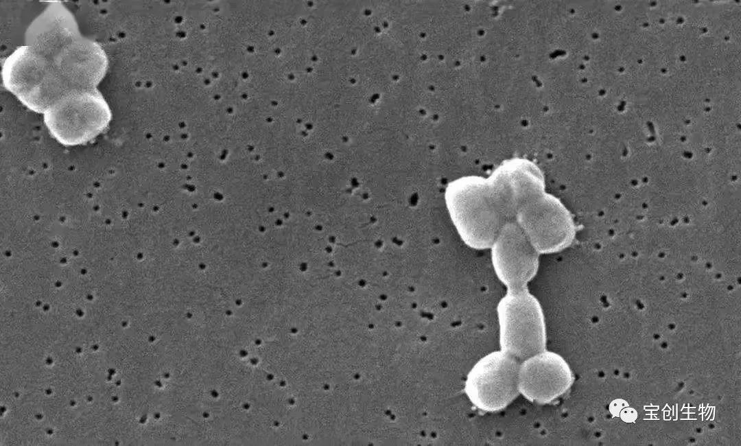 640 (16)_看图王.web.jpg