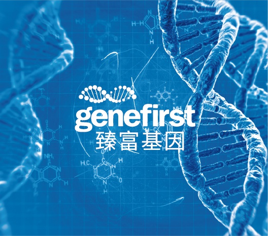 宝马bm1122线路顶级(中国游)有限公司官网